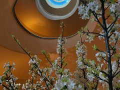 -荣府宴(南阳路店)