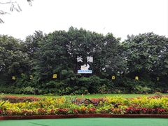 -广州长隆飞鸟乐园