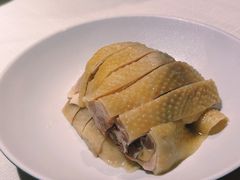 -老吉士酒家(天平路店)