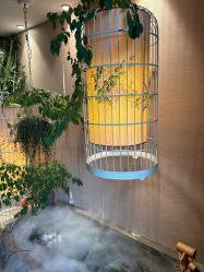 -威思丽高温瑜伽会馆