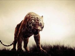 -AMG海上明珠影城(上海环球港RealDCinema店)