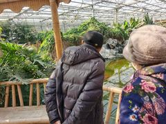 -晶宝温泉农庄
