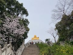 -苏州上方山国家森林公园