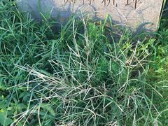 -东极岛景区