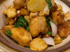 金不换三杯鸡-潮粥荟·潮汕砂锅粥(朝阳大悦城店)