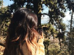 -天目山大树王景区