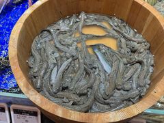 -高佳庄·舟山海鲜(海景旗舰店)