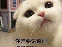 -神碳烧烤东北秘制串(东城路店)