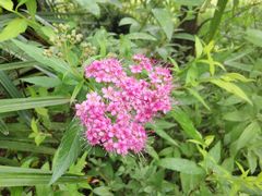 -苏州河梦清园环保主题公园