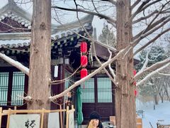 -元大都城垣遗址公园