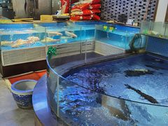 水产区-雅和睿景·商务宴·风味土窑鸡(花博汇店)