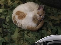 -真枪汇射击俱乐部(福州奥体阳光天地店)