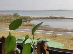 -七的湖·晚芳亭·阳澄湖农家菜·大闸蟹(莲花岛店)