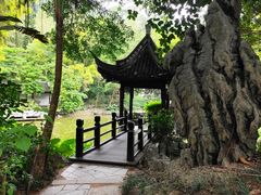 -深圳国际园林花卉博览园