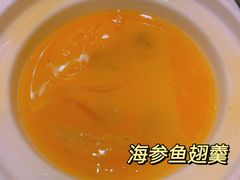 海参鱼翅羹-骏莱海鲜鱼港(五角场店)