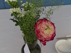 -顺峰(农展馆店)