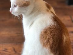 -251#coffee roasters(沿河东路店)