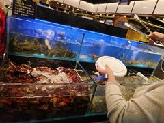 -苏格里岛自助烤肉海鲜火锅(成都金牛万达店)