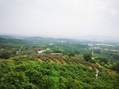 -密云玫瑰情园