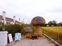 -嘉北郊野公园