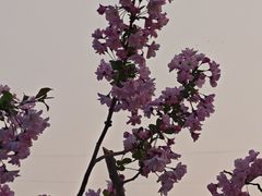 -钟山体育运动公园