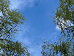 -燕郊植物园