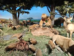 -国家自然博物馆