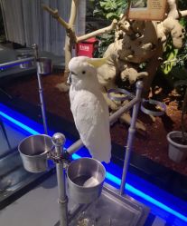 -未来动物城动物主题公园(大悦城店)