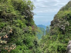 -峨眉山风景名胜区