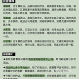 去三亚7次后✅ 熬夜总结㊙️