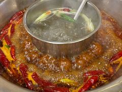 -金鼎雪山牦牛杂火锅(理县总店)