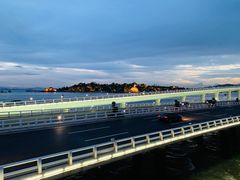-演武大桥观景平台