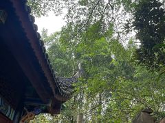 -丰都鬼城名山景区