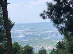 -铁山坪森林公园