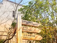 -上海崇明金茂凯悦酒店