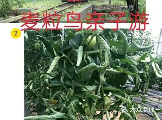 带孩子体验一下不一样的六一儿童节