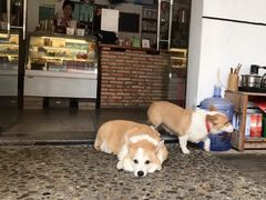 -茶米人台湾料理·精致快简餐