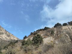 -鲁山国家森林公园