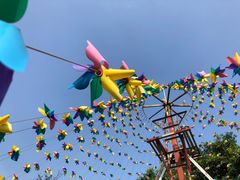 -松山湖梦幻百花洲