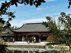 -上海滨江森林公园