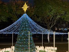 -龙环葡韵住宅式博物馆