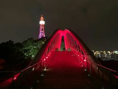 -金鸡山公园