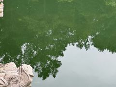 -九龙潭景区