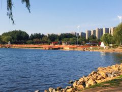 -丁香湖公园