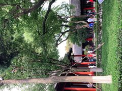 -南京中国近代史遗址博物馆(南京总统府)