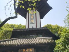 -上海佘山国家森林公园天马山园
