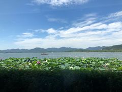 -湖畔居茶楼(湖滨店)
