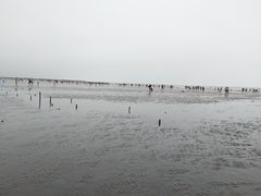 -奉贤海滩