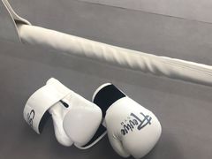 -EFL巴西柔术·综合格斗·泰拳·少儿体能训练(虹桥德必馆)