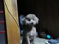 -沐沐家宠物(成寿寺店)